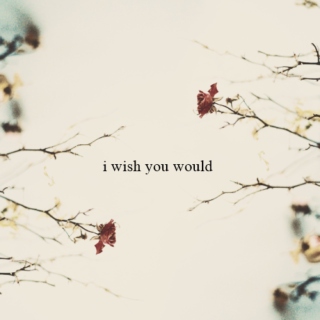 i wish you could