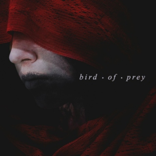 the last guardian, pt. 02: bird of prey