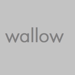 wallow