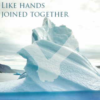 Like Hands Joined Together
