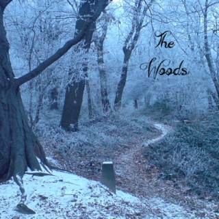 the woods