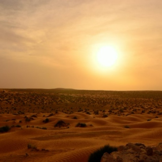 Desert Sun in Arabia