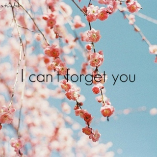 나는 잊을 수 없어