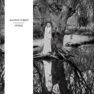 Ancient Forest Hymns