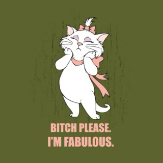B**** please, i'm fabulous