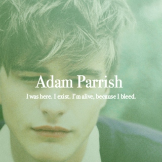 because i bleed | an adam parrish mix