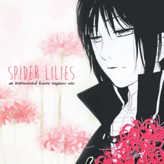 spider lilies