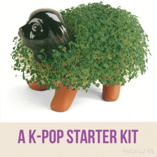 A K-pop Starter Kit 