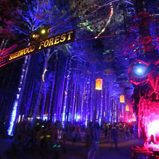 Take Me Home... Electric Forest 2015