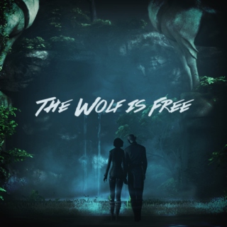 The Wolf Is Free