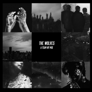 the wolves - a team ny mix