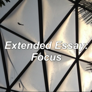 Extended Essay: Focus