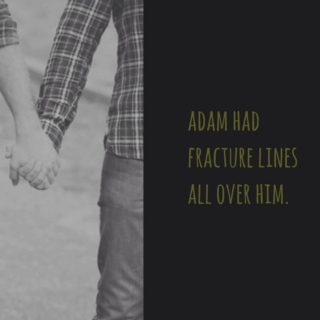 adam had fracture lines all over him.