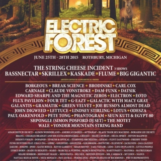 A Day at Electric Forest 2015