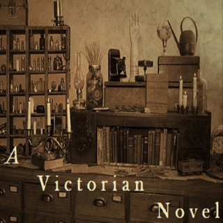 A Victorian Novel