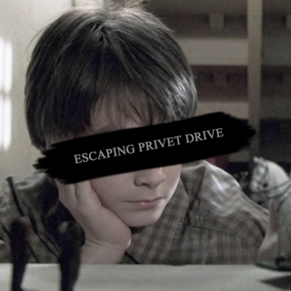 ESCAPING PRIVET DRIVE