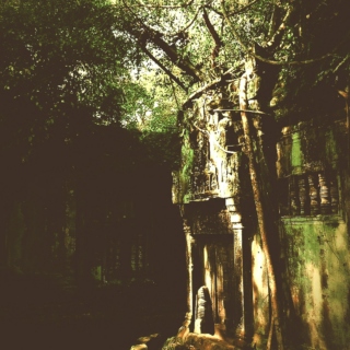 The Temple of the Forest