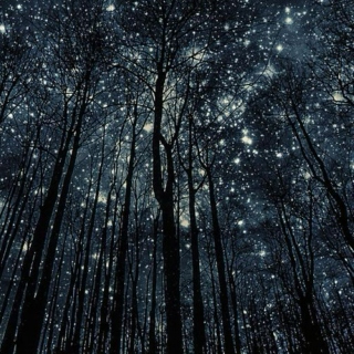 Stare at the stars with me