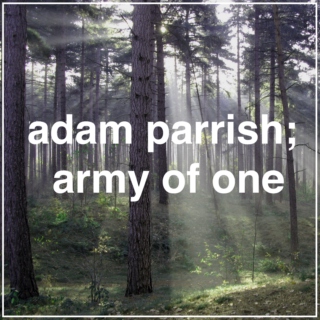 adam parrish; army of one