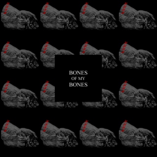 bones of my bones
