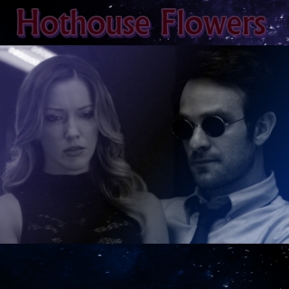 Vigilante Lawyers: Hothouse Flowers