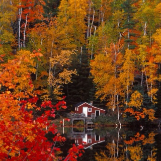 My autumn cabin