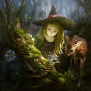 the witch's forest