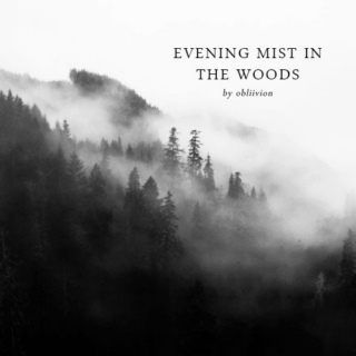 evening mist in the woods