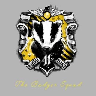 The Badger Squad - An hufflepuff fanmix