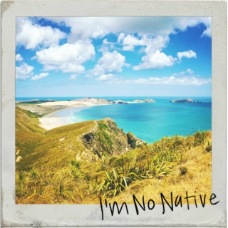 I'm No Native