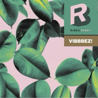 Vibeeeez (2015) DJ Robby
