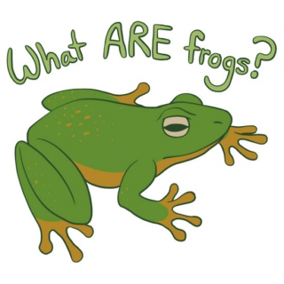 What ARE frogs?