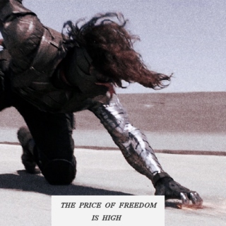the price of freedom is high 