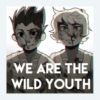 we are the wild youth