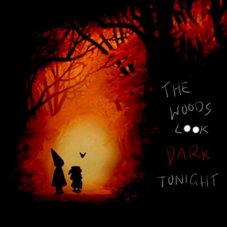 The Woods Look Dark Tonight