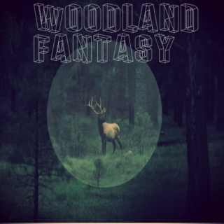 Woodland Fantasy