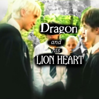 Dragon and His Lion Heart
