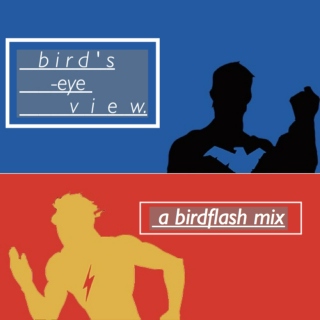 bird's-eye view. (a birdflash mix)