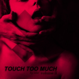 TOUCH TOO MUCH ; vol.Ⅱ