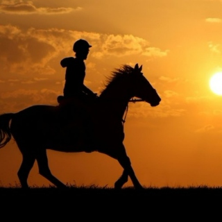 sunset riding