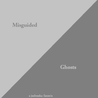 Misguided Ghosts