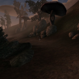 Once Upon a Time in Morrowind