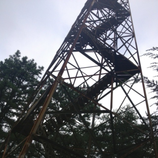 Fire Tower Shout