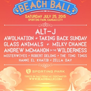 Buzz Beach Ball 2015