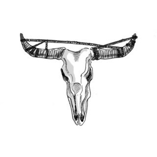 the bull 