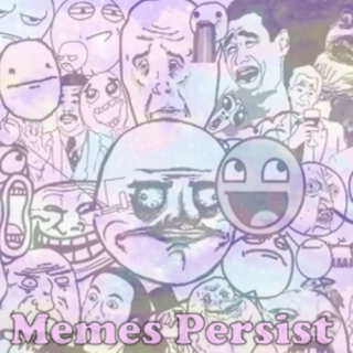 Memes Persist