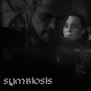 Symbiosis (Thor and Loki) 