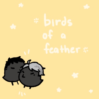 birds of a feather