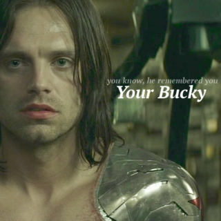 Your Bucky