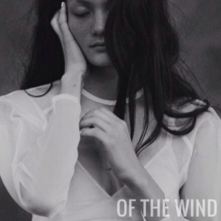 of the wind